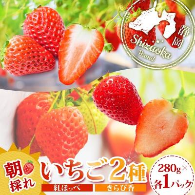 ふるさと納税 富士宮市 富士宮市産 いちご 2種セット 紅ほっぺ &amp; きらぴ香 各280g×1P 計560g