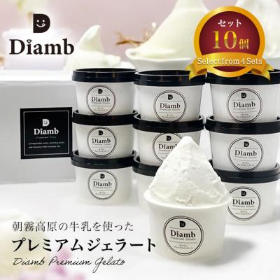 ふるさと納税 富士宮市 ダイアムプレミアムジェラート 100ml×10個 [フレーバー2種:ミルク・チョコ]
