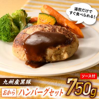 ふるさと納税 新宮町 九州産黒豚おからハンバーグセット