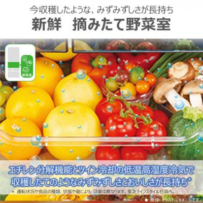 ふるさと納税 川崎市 東芝 冷蔵庫 【標準設置費込み】 509L 6ドア 両開き 冷凍冷蔵庫 GR-Y510FK(EW)の画像