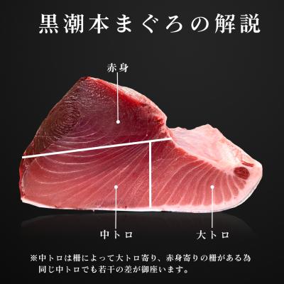 ふるさと納税 大月町 まぐろ マグロ 本鮪 黒潮本まぐろ 中トロ 赤身 定期便 6回 計300g × 6回 刺身 柵 冷凍の画像