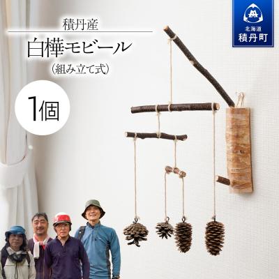 ふるさと納税 積丹町 白樺モビール ×1