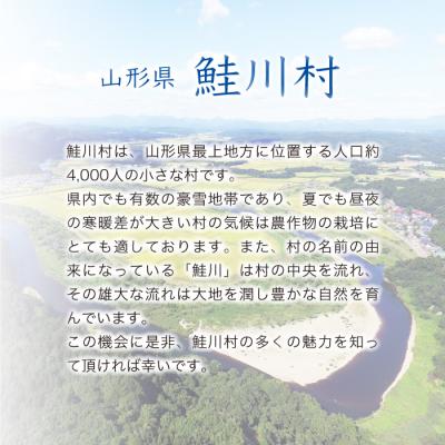 ふるさと納税 鮭川村 ★数量限定★令和7年産 はえぬき【玄米】30kg(15kg×2袋)＜配送時期指定可＞鮭川村の画像