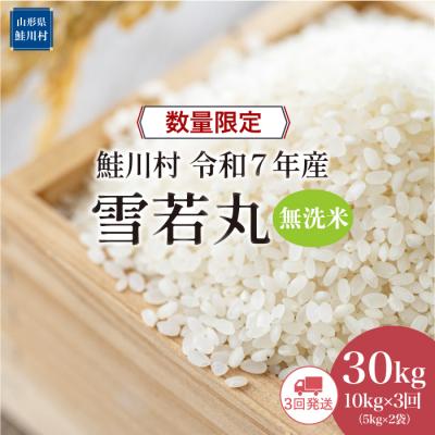 ふるさと納税 鮭川村 ★数量限定★令和7年産 雪若丸[無洗米]30kg定期便(10kg×3回)[配送時期指定可]鮭川村