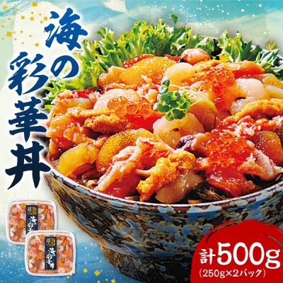 ふるさと納税 札幌市 海の彩華丼_hs145-121