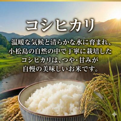ふるさと納税 小松島市 【配送時期が選べる】米 コシヒカリ 20kg 小松島市 令和7年産 精米 白米_1