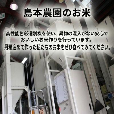 ふるさと納税 小松島市 【配送時期が選べる】米 コシヒカリ 20kg 小松島市 令和7年産 精米 白米_2