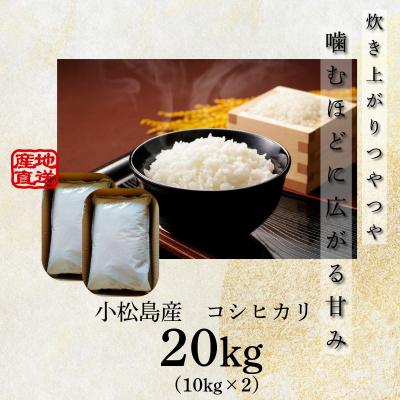 ふるさと納税 小松島市 【配送時期が選べる】米 コシヒカリ 20kg 小松島市 令和7年産 精米 白米_3