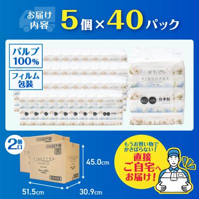 ふるさと納税 富士市 【配送2個口】きぬはなソフトパックティッシュ 200個(5個×40パック) [sf002-544]_2