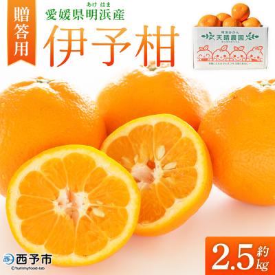 ふるさと納税 西予市 伊予柑 贈答用 約2.5kgギフト いよかん イヨカン 笑丸
