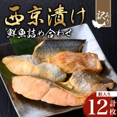 ふるさと納税 曽於市 [訳あり]鮮魚西京漬け<鮭入り>(4種×3枚/約720g)