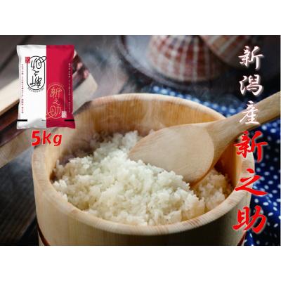 ふるさと納税 阿賀野市 [令和7年産]阿賀野市産「新之助」5kg(5kg×1袋) 安田興和農事