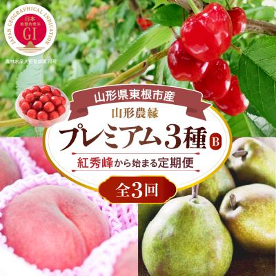 ふるさと納税 東根市 2026年 3回定期便 山形農縁プレミアム3種B〜さくらんぼ紅秀峰から始まる〜 hi082-065b