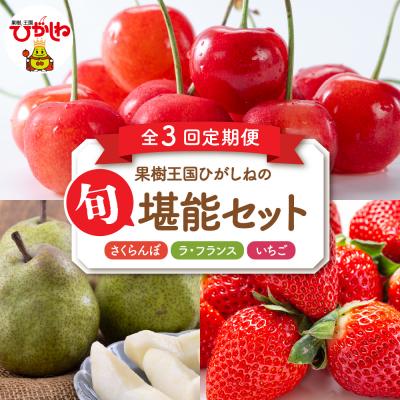 ふるさと納税 東根市 [2026年産 3回定期便]果樹王国ひがしねの旬堪能セット 山形県 東根市 hi069-022