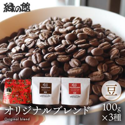 ふるさと納税 下呂市 緑の館 珈琲豆 オリジナルブレンド 100g×3種セット[17-128]