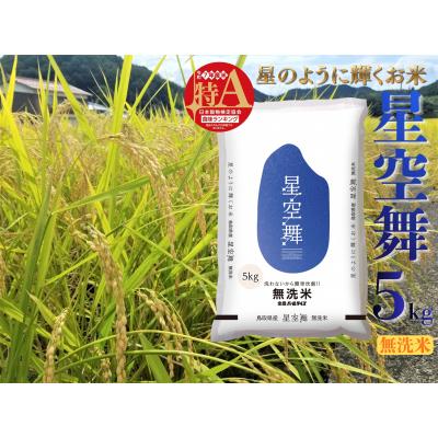 ふるさと納税 湯梨浜町 鳥取県産星空舞◇無洗米5kg◇令和7年産(276M.)