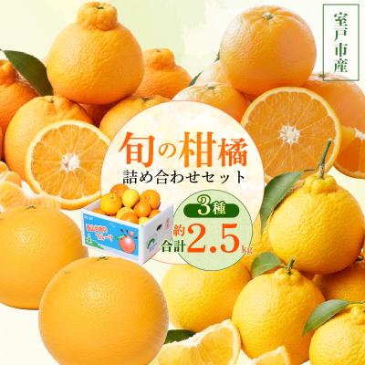 ふるさと納税 室戸市 [旬の柑橘詰め合わせ 2.5kg ]訳あり 室戸産 ポンカン せとか 2.5kg | 家庭用 5000