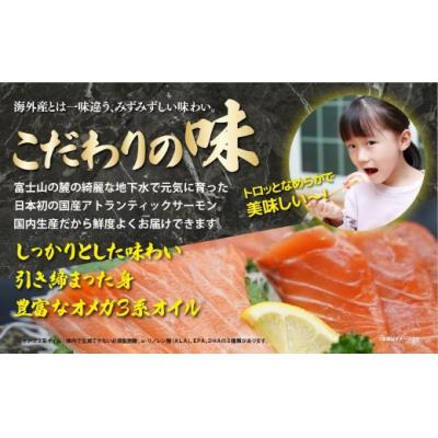 ふるさと納税 小山町 日本初 完全陸上養殖 フジアトランティックサーモン 冷蔵 1尾丸ごと( 3.5〜4.0kg未満サイズの画像