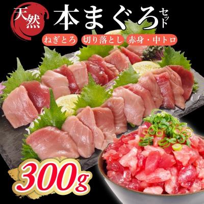 ふるさと納税 小松島市 天然本まぐろセット 300g(100g×3P) マグロ 本まぐろ 中とろ ネギトロ