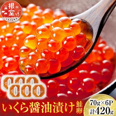 ふるさと納税 根室市 <計420g>いくら醤油漬け(鮭卵)70g×6P