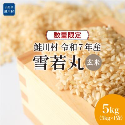 ふるさと納税 鮭川村 ★数量限定★令和7年産 雪若丸[玄米]5kg(5kg×1袋)[配送時期指定可]鮭川村
