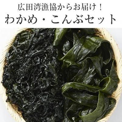 ふるさと納税 陸前高田市 塩蔵わかめ 塩蔵こんぶ セット 300g×各1袋 海藻 海産物 魚介類 料理 味噌汁 サラダ 煮物