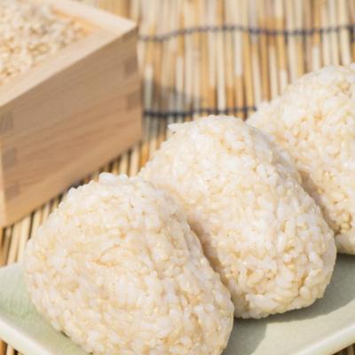 ふるさと納税 陸前高田市 【隔月3回定期便】 たかたのゆめ 玄米 5kg×隔月3回 (合計15kg) 令和7年産 米 お米の画像