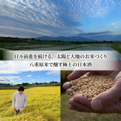 ふるさと納税 東御市 【差し上げ物相応う】坐kura 純米大吟醸 金紋錦 1本・謙太郎米2kg・八重原未醤500g