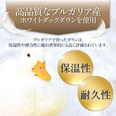 ふるさと納税 糸島市 羽毛 布団 本掛け 無地 ブルガリア産 ダウン93%【キング】 [AYM037]の画像