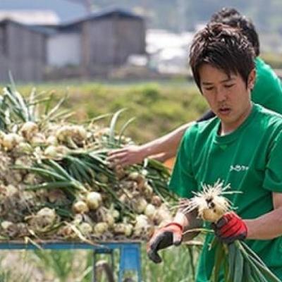 ふるさと納税 南あわじ市 【うずのくに南あわじ】淡路島新玉ねぎ「蜜玉」5kgの画像