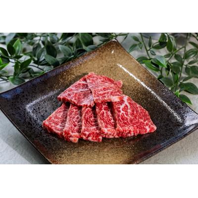 ふるさと納税 富士宮市 富士山竹川牛 サーロインステーキ 165g×1枚 &amp; リブロース焼肉 195g