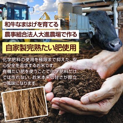 ふるさと納税 男鹿市 令和7年産 ミルキークイーン (精米) 10kg (5kg×2袋) 白米|23_dsf-101001_2