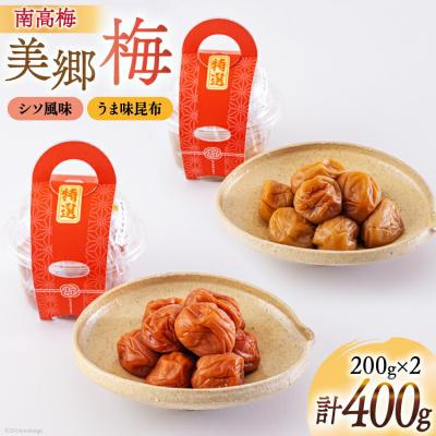 ふるさと納税 美郷町 梅 南高梅 美郷梅使用 梅干し 昆布 シソ 風味 セット 3L サイズ [31ab0111]