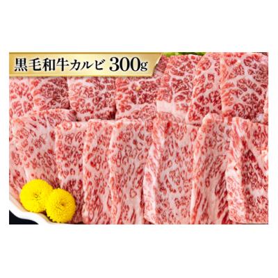 ふるさと納税 美郷町 牛肉 5回 定期便 宮崎県産 焼肉 セット 黒毛和牛 モモ カルビ 豚バラ [31ba0038]の画像