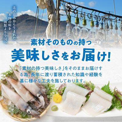 ふるさと納税 函館市 いかシュウマイ 8個入×6袋仕かける_固定ディスク151-006