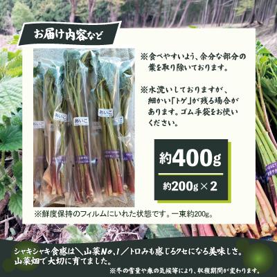 ふるさと納税 大館市 アイコ(ミヤマイラクサ) 約400g 秋田の山菜の画像