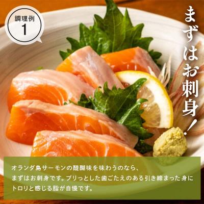 ふるさと納税 山田町 三陸山田産 オランダ島 サーモン 刺身 盛り合わせ 約400g 鮭 さけ サケの画像