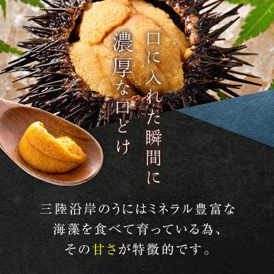 ふるさと納税 山田町 三陸山田 極上 甘うに【先行予約】 150g×5パック 令和8年5月中旬以降発送の画像