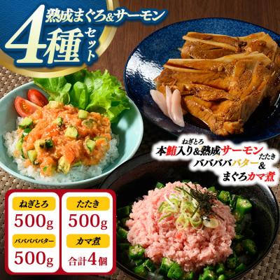 ふるさと納税 相模原市 [県水の熟成まぐろ]熟成本鮪入りねぎとろ、熟成サーモンたたき、バババババター、まぐろカマ煮詰め合わせ