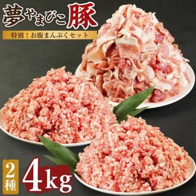ふるさと納税 幸田町 「夢やまびこ豚」特別!お腹まんぷくセット 小間切れ 2.0kg+挽肉 2.0kg | 豚肉 肉 お肉