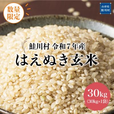 ふるさと納税 鮭川村 ★数量限定★2025年産 はえぬき[玄米]30kg(30kg×1袋)<配送時期指定可>鮭川村