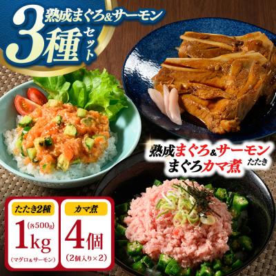 ふるさと納税 相模原市 [県水の熟成まぐろ]漁師作りプレミアム、熟成サーモンたたき、まぐろカマ煮詰め合わせセット