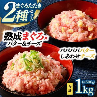 ふるさと納税 相模原市 [県水の熟成まぐろ]入れちゃった!シリーズ2種類詰め合わせセット