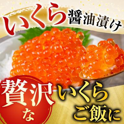 ふるさと納税 根室市 無添加天然甘塩紅鮭5切×3P、いくら醤油漬け(鮭卵)70g×1P A-11190_1
