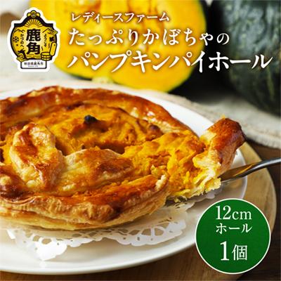 ふるさと納税 鹿角市 パンプキンパイ 12cmホール[レディースファーム]