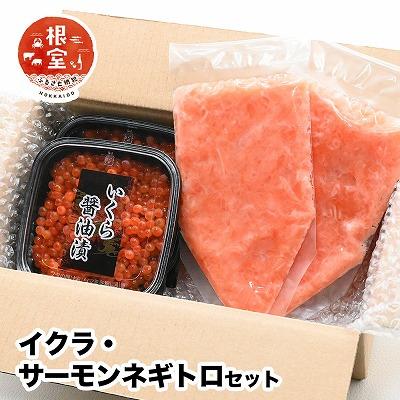 ふるさと納税 根室市 いくら80g×2P・アトランティックサーモンネギトロ2Pセット A-24022の画像
