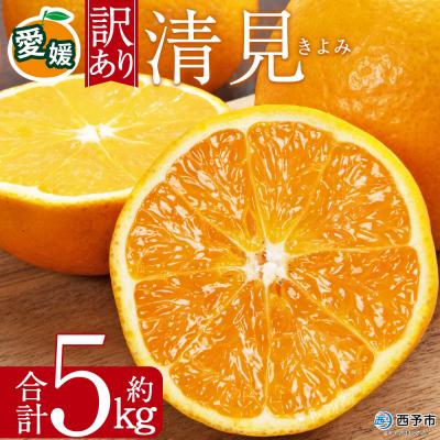 ふるさと納税 西予市 <訳あり 清見 (サイズ混合) 約5kg愛媛 蜜柑 ミカン 丸二青果 国産 きよみ
