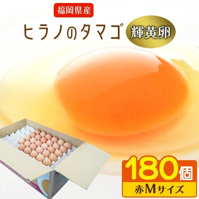 ふるさと納税 筑前町 ボリュームサイズ!ヒラノのたまご[輝黄卵(きおうらん)]赤Mサイズ 180個