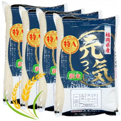 ふるさと納税 筑前町 [令和7年産]福岡県産ブランド米「元気つくし」白米20kg(筑前町)