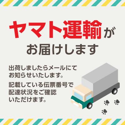 ふるさと納税 新宿区 BRUNO オートクックポット 1.0L_0152-010-S07の画像